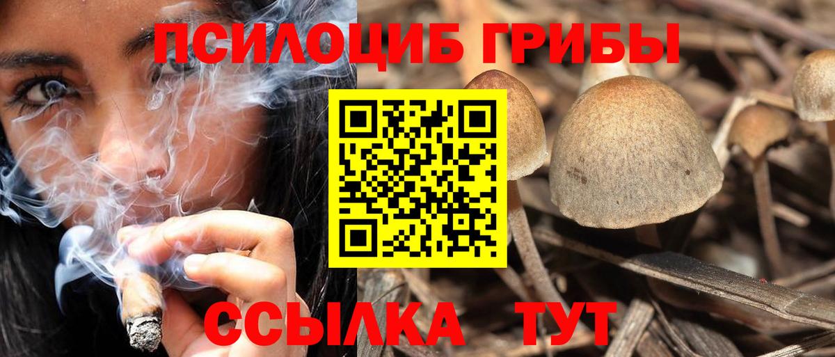 Галлюциногенные грибы Cubensis  Вход с VPN  где можно купить   Галлюциногенные грибы MAGIC MUSHROOMS  Благовещенск 